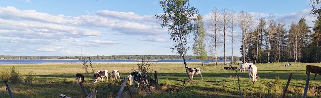 Vår