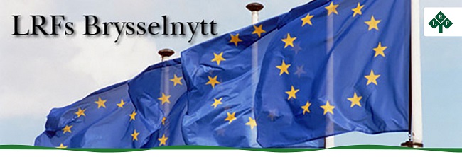 LRFs Brysselnytt