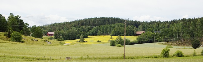 Landskapsbild