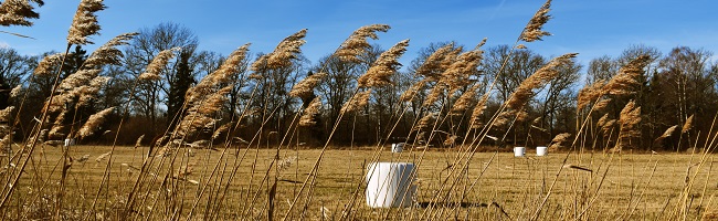 Landskapsbild